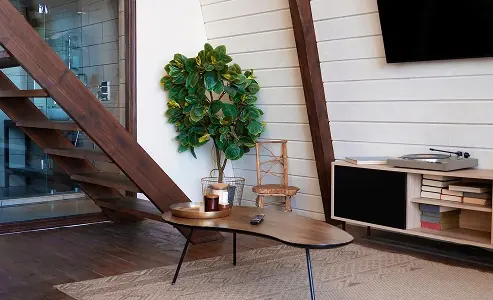 Living space with exposed timber beams